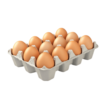 Free Range Eggs